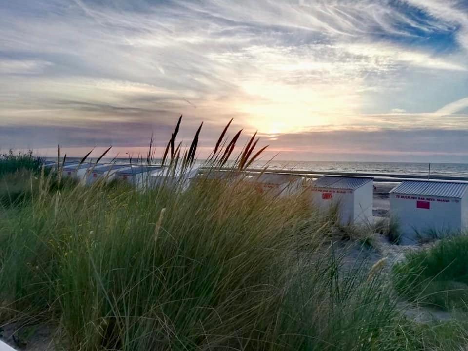 Seayousoon Nieuwpoort-Bad Exterior photo